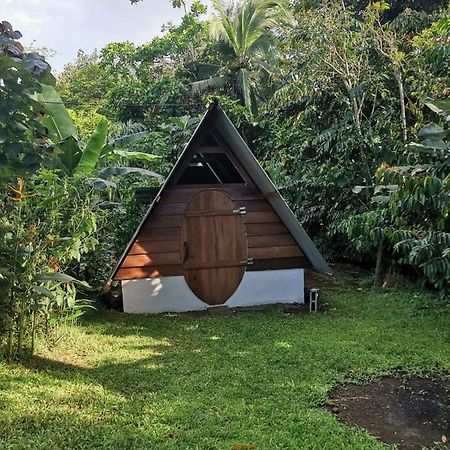 Cabana Chalet Cariari  Екстер'єр фото